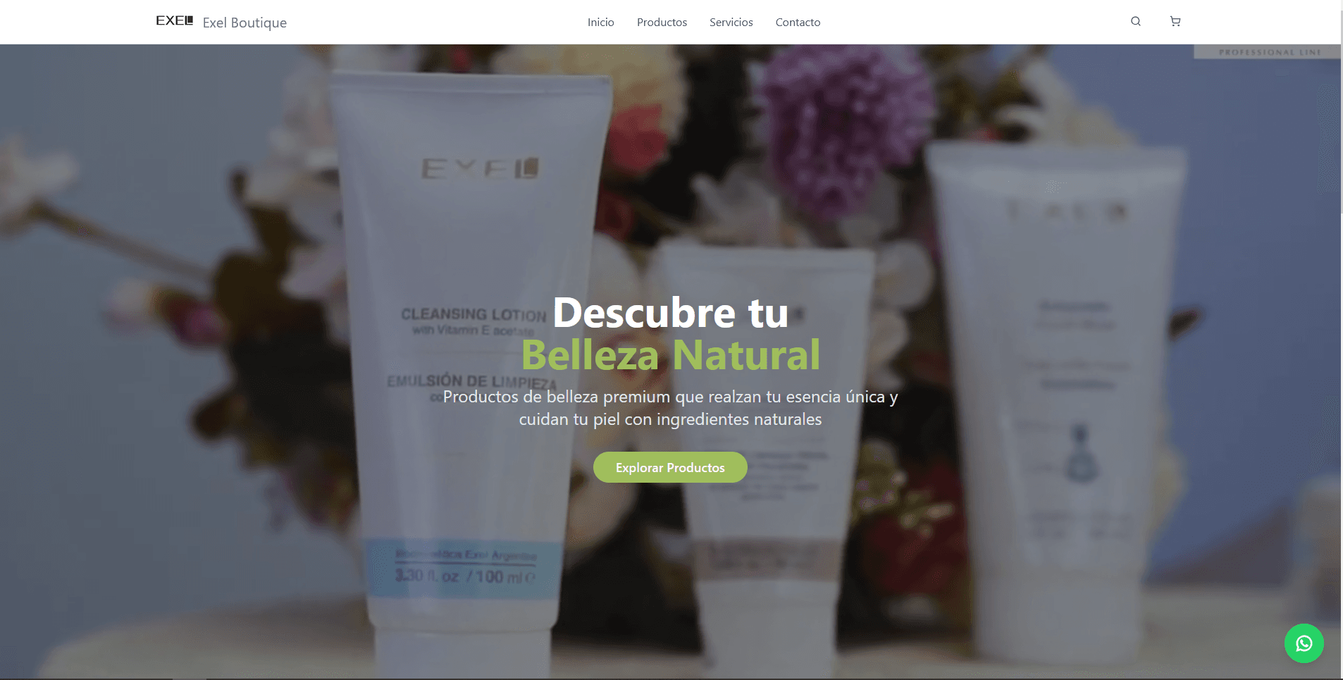 Exel — captura principal